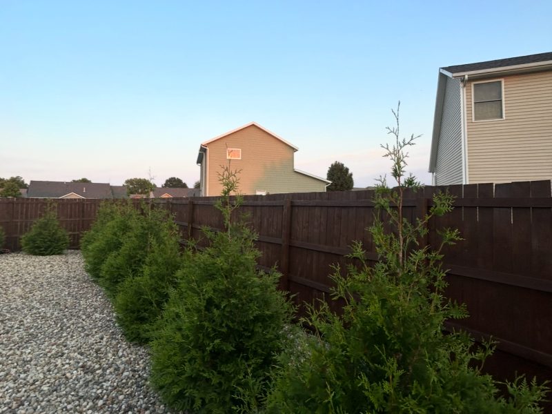 Deep brown stained wood fence with landscaping in front, fence staining and sealing by TD Surface Stain and Seal