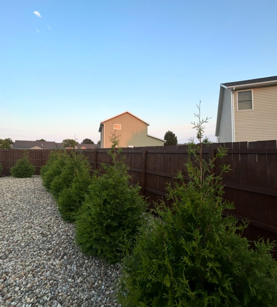 Deep brown stained wood fence with landscaping in front, fence staining and sealing by TD Surface Stain and Seal
