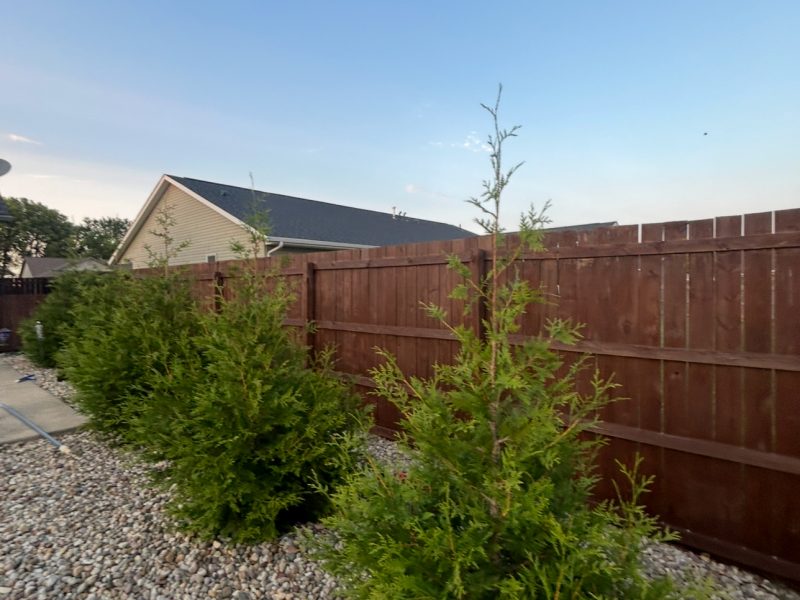 Cedar-brown stained wood fence beside plants and landscaping, hand-applied fence stain by TD Surface Stain and Seal